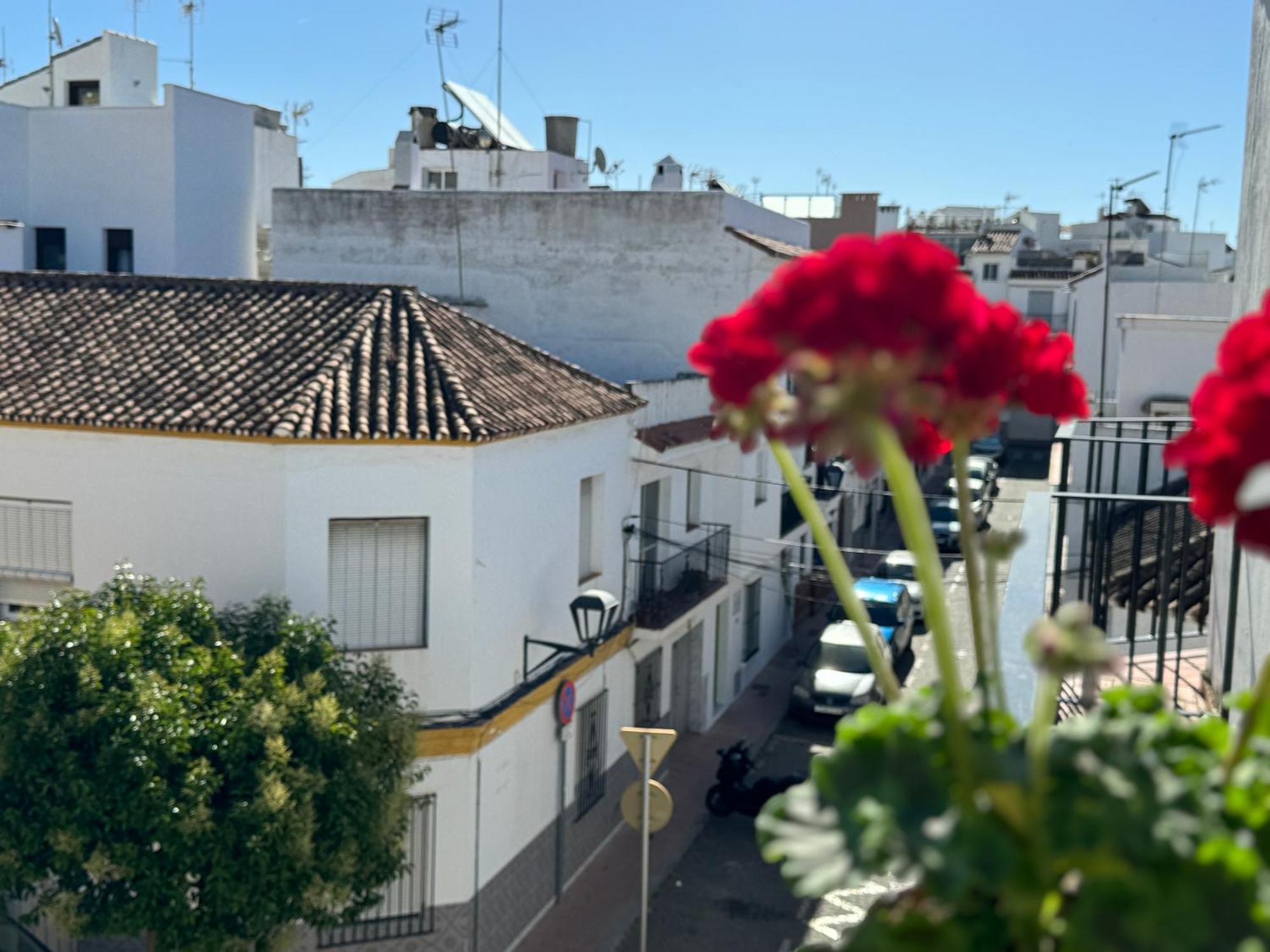 Encantadora Casa En El Corazon De エステポナ エクステリア 写真